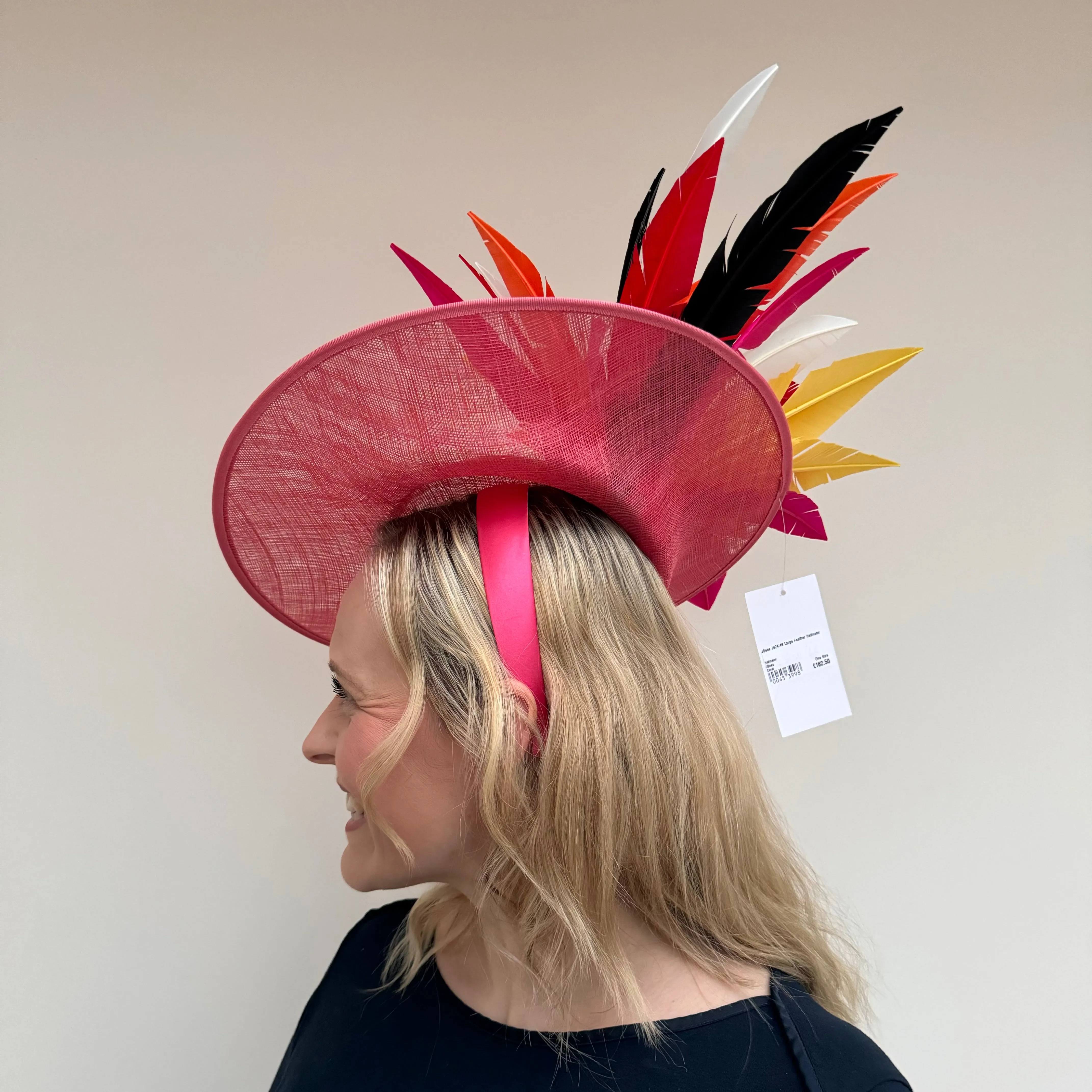 JBees JB24/46 Large Feather Hatinator