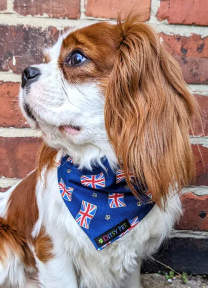 Navy Blue Union Jack Dog Bandana by Ditsy Pet
