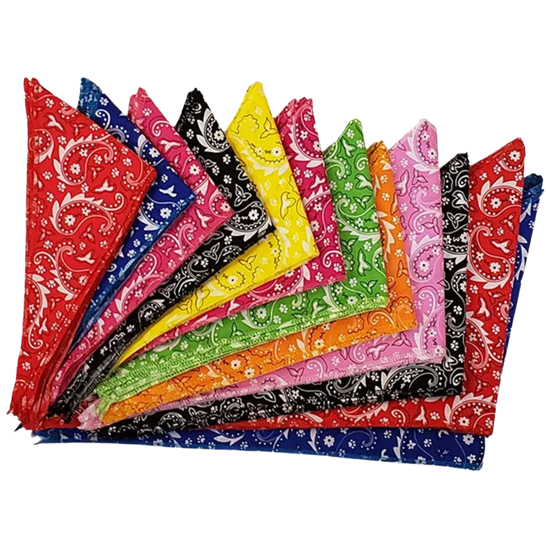 Paisley Bandanas - 60 Assorted Sizes and Patterns by Bandanas Unlimited