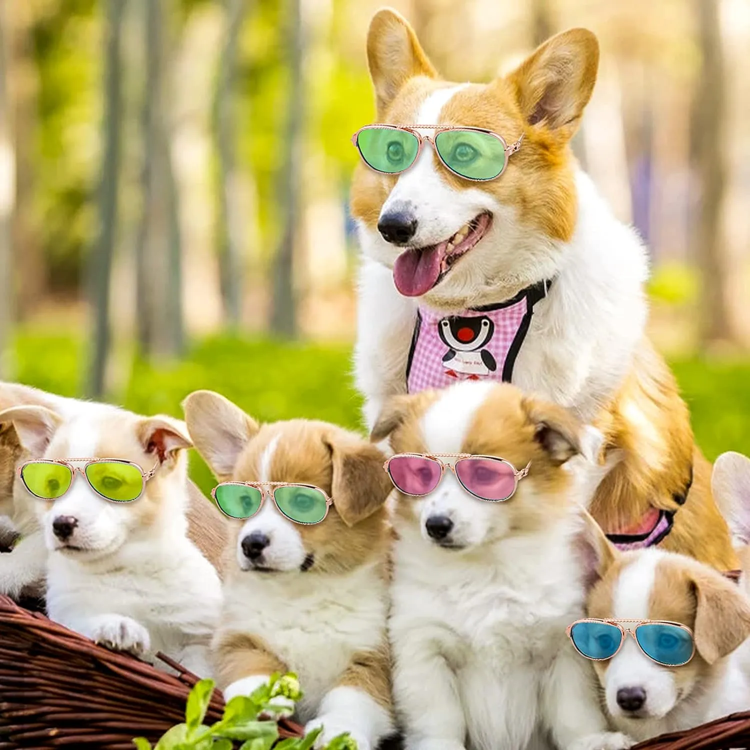 Pet UV Protection Sunglasses (4Pcs- Aviator Sunglasses)